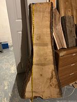 Full view of maple live-edge slab standing upright with tape measure indicating 70 in length, bark edges visible
