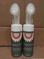 Two Dandylion Clean Paws brush bottles front view showing labels and brush heads