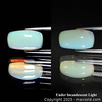 Rectangular white opal cabochon shown under different lighting, held by tweezers