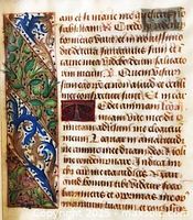 Obverse of illuminated vellum leaf showing foliate border and gilt initial