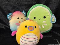 Group shot of all three Squishmallows plush