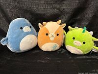 Group shot of all three Squishmallows