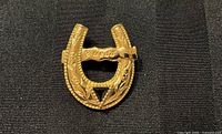 Front view of gold plated horseshoe brooch on fabric surface