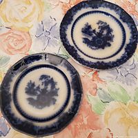 Front view of both stoneware plates showing flow blue pattern and shapes
