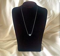 Full view of necklace on display bust