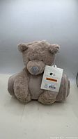 Front view of plush bear holding rolled blanket with tag attached