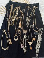 Full spread of all necklaces on black cloth