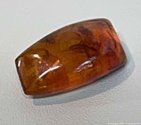 front view of polished amber brooch