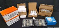 All items laid out showing bulk packs, trays of Edison bulbs, boxed candelabra bulbs