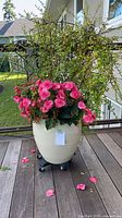Smaller planter showing pink blooms and trailing vine on rolling stand
