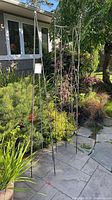Both trellises standing on patio to show full height and design