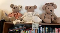 All three dressed teddy bears on shelf