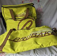 Ski bag and boot bag together showing overall appearance and matching color