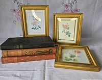 Lot overview showing three framed prints and three books