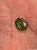 Front view of oval ammolite cabochon showing green iridescence