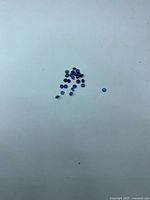 Group of loose round blue sapphires on white background