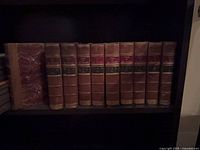 Front view of all ten leather-spined volumes on shelf