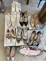 All eight pairs arranged on boxes with decorative sign visible