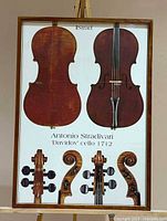 Front of poster showing cello front, back, scroll details