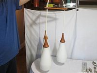 Entire chandelier with two shades visible hanging, teak arms, wires