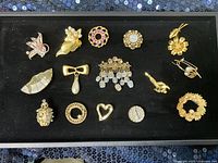 All 15 brooches displayed in tray