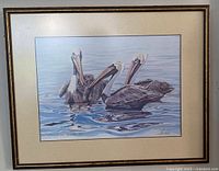 Front view of framed signed lithograph of pelicans