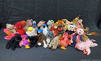 Front view showing full lineup of 26 Beanie Babies with tags visible