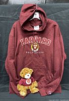 Front view of maroon Harvard hoodie with teddy bear