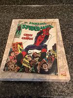 Front view of Spider-Man comic cover canvas