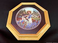 Front view of framed octagonal collector plate