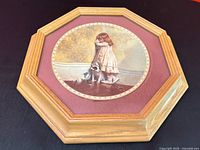 Framed Royal Doulton collector plate in octagonal oak frame
