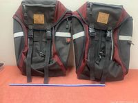 Front view of both panniers with scale