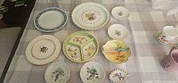 All ten decorative plates and dish laid on table