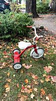 Full view of tricycle on grass with fall leaves