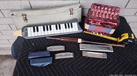 Full lot: accordion, melodica with case, recorder, four harmonicas