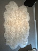 Full view of cream sheepskin rug on floor