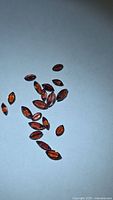 Group of marquise cut orange-red garnets on surface