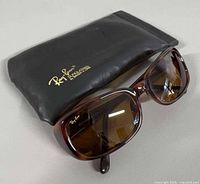 Front view of sunglasses resting on case