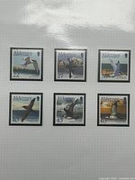 Front view showing all six Alderney seabird stamps