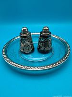 Shakers positioned on etched glass plate showing overall lot