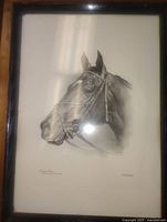Front view of framed Kauai King pencil sketch print