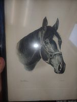 Close front view of Proud Clarion horse head print in frame