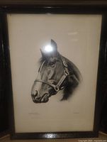 Full view of framed horse print