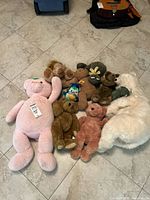 Group shot showing all stuffed toys laid out on floor