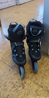 Front view of both K2 Alexis 84 BOA skates