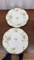 Both Limoges plates full view