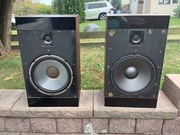 Front view of both speakers showing drivers and cabinet wear