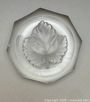 Top view showing frosted maple leaf and octagonal outline