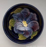 Interior view showing full Clematis flower design