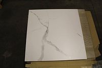 Single 24 x 24 in white porcelain tile with grey veining displayed on pallet